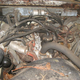 Illustration for article titled Putting V8s In Volvos Is Like Eating Peanuts: Future Drag Race Car Plucked From Redwoods